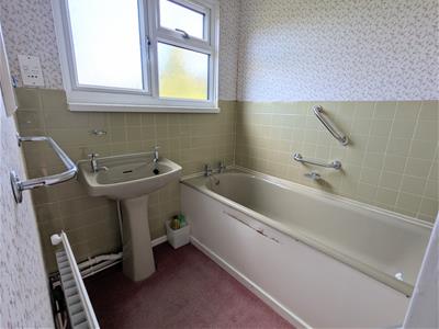 Picture 17